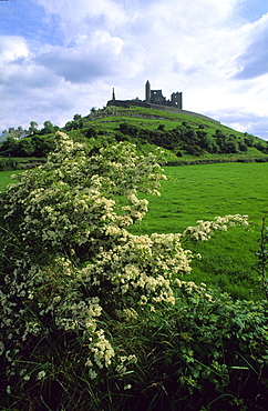 Rock of Cashel near Cahir, Cashel of the Kings, County Tipperary, Ireland, Europe