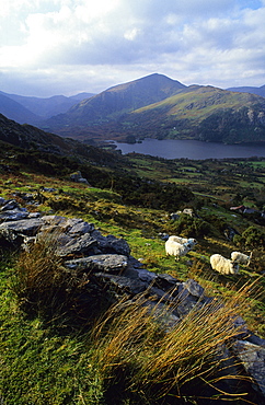 View from Healy Pass, Beara peninsula, County Kerry, Ireland, Europe