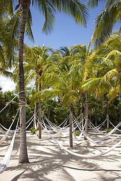 Hammocks hang from coconut trees at Xel-Ha Water Park, Tulum, Riviera Maya, Quintana Roo, Mexico