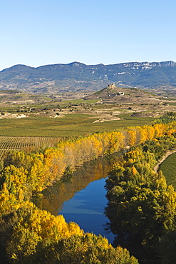 Rio Ebro, Ebro river, vinyards, near Haro, autumn, La Rioja, Northern Spain, Spain, Europe