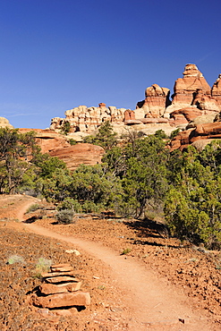 Trail leading towards rock spires in Chesler Park, Needles Area, Canyonlands National Park, Moab, Utah, Southwest, USA, America