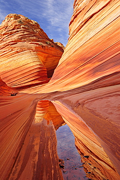 Red sandstone reflecting in water, The Wave, Coyote Buttes, Paria Canyon, Vermilion Cliffs National Monument, Arizona, Southwest, USA, America