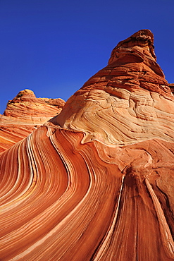 Red sandstone formation under blue sky, The Wave, Coyote Buttes, Paria Canyon, Vermilion Cliffs National Monument, Arizona, Southwest, USA, America