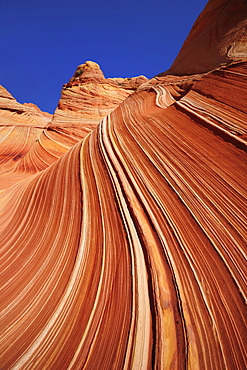 Red sandstone formation under blue sky, The Wave, Coyote Buttes, Paria Canyon, Vermilion Cliffs National Monument, Arizona, Southwest, USA, America