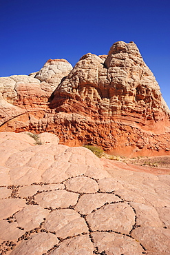 Colourful formation of sandstone, Paria Canyon, Vermilion Cliffs National Monument, Arizona, Southwest, USA, America