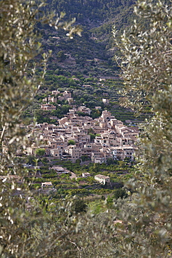 Most beautiful village in Spain, Fornalutx, valley of oranges, olive trees, Fornalutx, Serra de Tramuntana, UNESCO World Nature Site, Mallorca, Spain