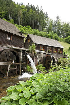 View of Hexenloch mill, Neukirch, Black Forest, Baden-Wuerttemberg, Germany, Europe