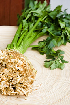 Close up of celeriac, Home-grown, Kitchen garden