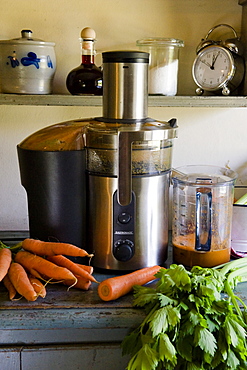 Fresh carrot juce, vegetable juice extractor, Homemade