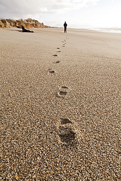 Footprints in coarse sand, person walking along the beach, autumn, South Island, New Zealand