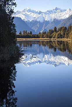 Perfect mountain reflections at Lake Matheson, Southern Alps with Mount Tasman and Mount Cook, Aoraki, South Island, New Zealand