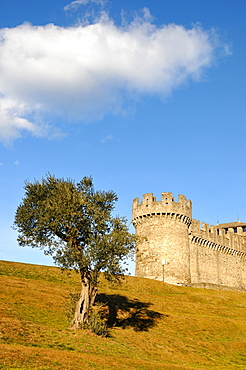 Montebello Castle, Castello di Montebello, Bellinzona, Ticino, Switzerland