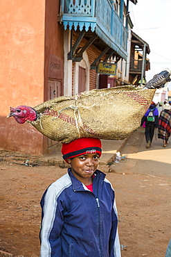 Madagascan boy carrying a turkey on his head, Betsileo tribe, Ambalavao, Fianarantsoa Region, Madagascar, Africa