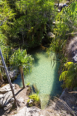 Natural swimmingpool in Isalo National Park near Ranohira, Ihorombe region, South Madagascar, Africa