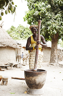 Woman carrying child on back grinding corn to flour, Magadala, Mali