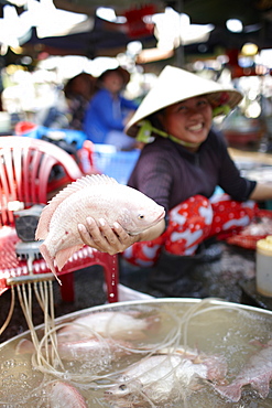 Woman offering fresh fish on market, Sa Dec, Dong Thap, Vietnam