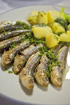 Grilled sardines with potatoe dish, Adria coast, Mediterranean Sea, Primorska, Slovenia