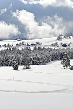 Landscape near Breitnau, near Hinterzarten, Black Forest, Baden-Wuerttemberg, Germany