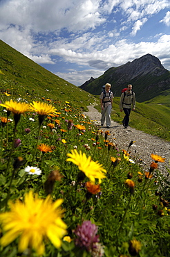 Couple hiking in the mountains, Tannheimer Mountains, Allgaeu Alps, Tirol, Austria, Europe