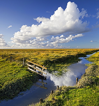 Fence on a a salt marsh, Westerhever, Schleswig-Holstein, Germany