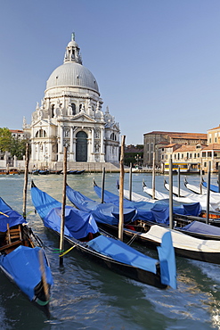 The church Santa Maria della Salute with gandolas, Canal Grande, Venice, Italy