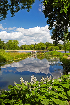 Bridge in the grounds, Dessau-Woerlitz Garden Realm, Saxony-Anhalt, Germany