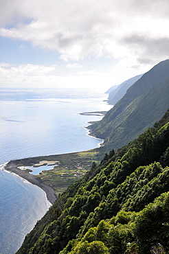 Faja dos Cubres, North coast, Island of Sao Jorge, Azores, Portugal