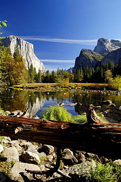 Idyllic landscape with stream in the sunlight, Yosemite National Park, California, North America, America