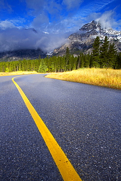 Road Leading to Mt. Kidd, Rocky Mountains, Alberta