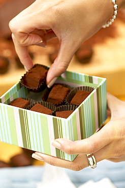 Freshly Made Chocolates in Gift Box, Montreal, Quebec