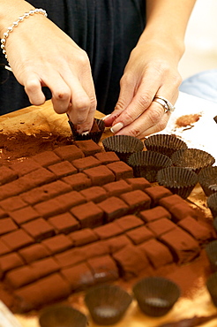 Arranging Freshly Made Chocolates into Baking Cups, Montreal, Quebec