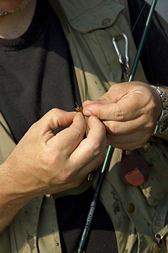 Man Tying a Fly onto Rod for Fly Fishing