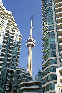 CN Tower between Waterfront Condos, Toronto, Ontario