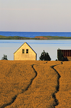 Farmland, Queens County, Prince Edward Island.