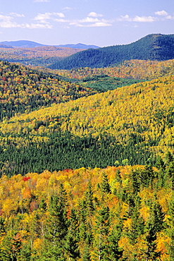 Mount Bailey overlook, Mount Carleton Provincial Park,New Brunswick.