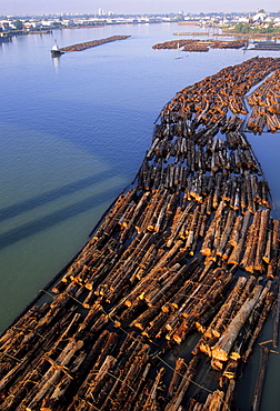 Log Boom, North Arm Fraser River, Vancouver British Columbia.