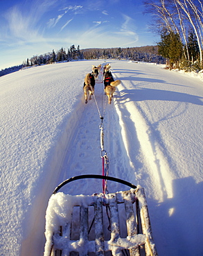 Dog Sledding on Frozen Lake, Lanaudiere Region, Entrelacs.