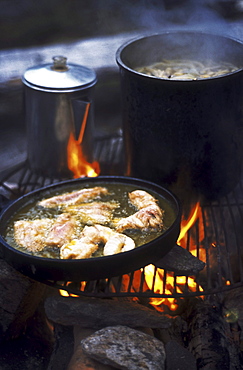 Fish Cooking on Camp Fire, French River, Ontario