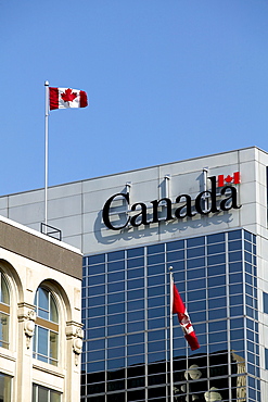 Downtown Building with Canadian Flags, Ottawa, Ontario