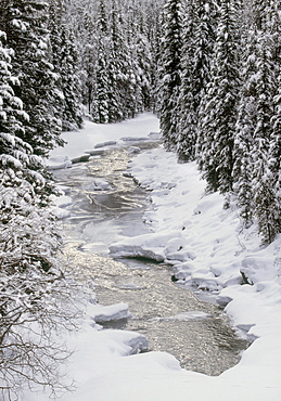 North Saskatchewan River, Banff National Park, Alberta, Canada