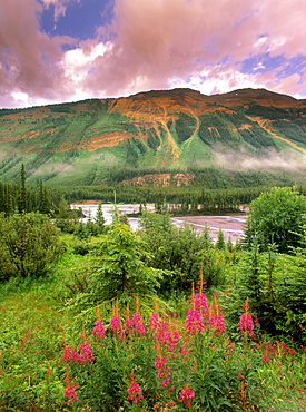 North Saskatchewan River along the Icefields Parkway at the "Avalanche Slope" lookout, Banff National Park, Alberta, Canada