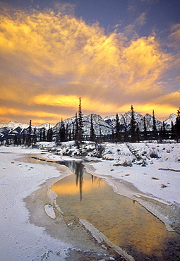 North Saskatchewan River, Kootenay Plains, Alberta, Canada