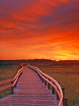 Boardwalk along the Salt Marsh, Kouchibouguac National Park, New Brunswick, Canada