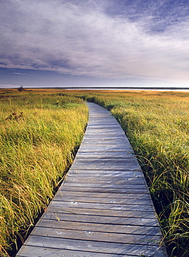 Boardwalk along the Salt Marsh, Kouchibouguac National Park, New Brunswick, Canada