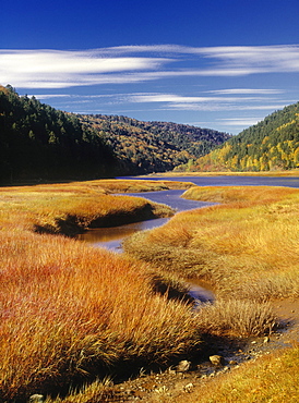 Upper Salmon River, Fundy National Park, New Brunswick, Canada