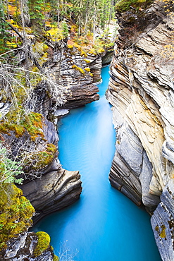 Athabasca Falls/River, Jasper National Park, Alberta