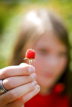 Girl's hand holding raspberry, Lincoln Gardens, Lumsden, Saskatchewan