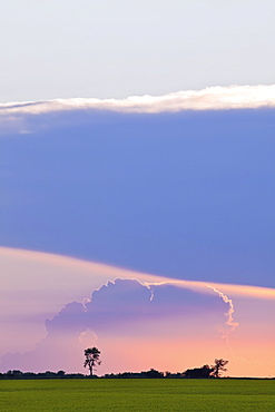 Developing thunderstorm on Canadian Prairies, Pembina Valley, Notre Dame de Lourdes, Manitoba