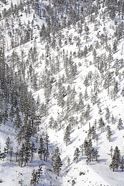 Winter scenic of mountain ridges above Thompson river, near Spences Bridge, British Columbia