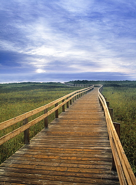 Boardwalk in Salt Marsh, Kouchibouguac National Park, New Brunswick